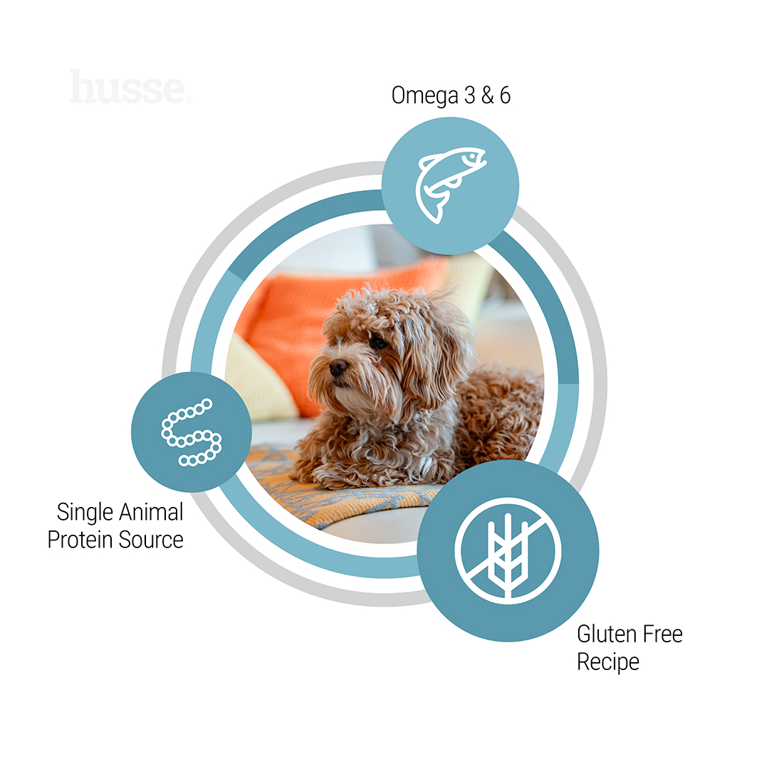 Hypoallergenic Skin & Coat Adult sausas maistas šunims, 2-7kg - Image 4