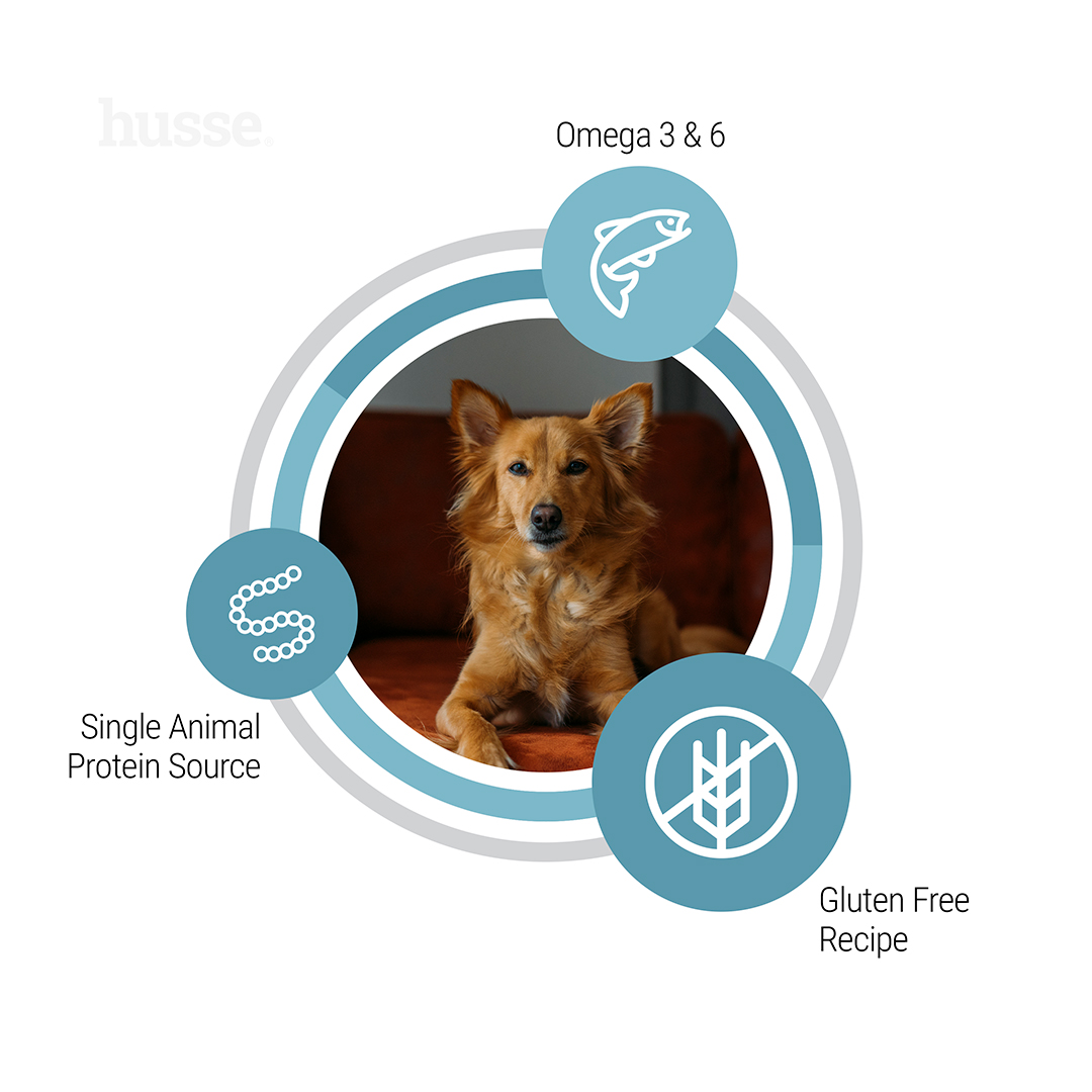 Hypoallergenic Skin & Coat sausas maistas šunims, 12 kg - Image 4