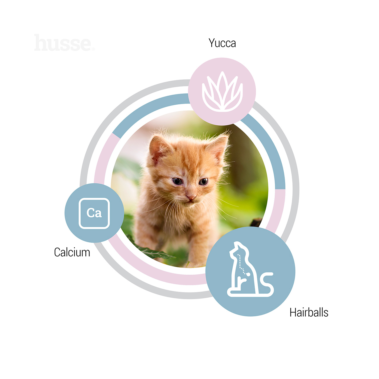 Kattunge sausas kačių maistas 2-7 kg - Image 5