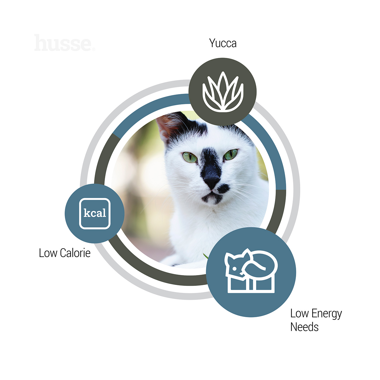 Exclusive Light sausas kačių maistas 2-7 kg - Image 5