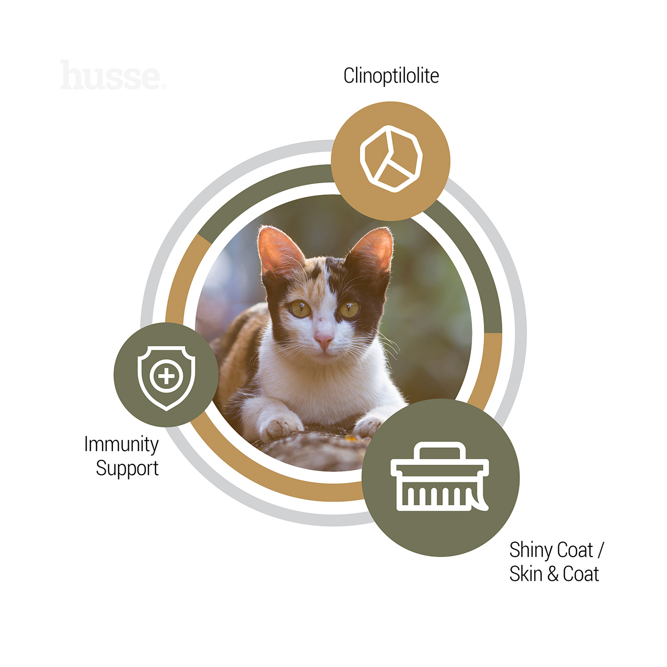 Opus Lynx sausas maistas katėms 2-7 kg - Image 5