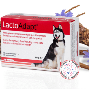 DOGOTEKA LactoAdapt probiotikai 60 tabl.