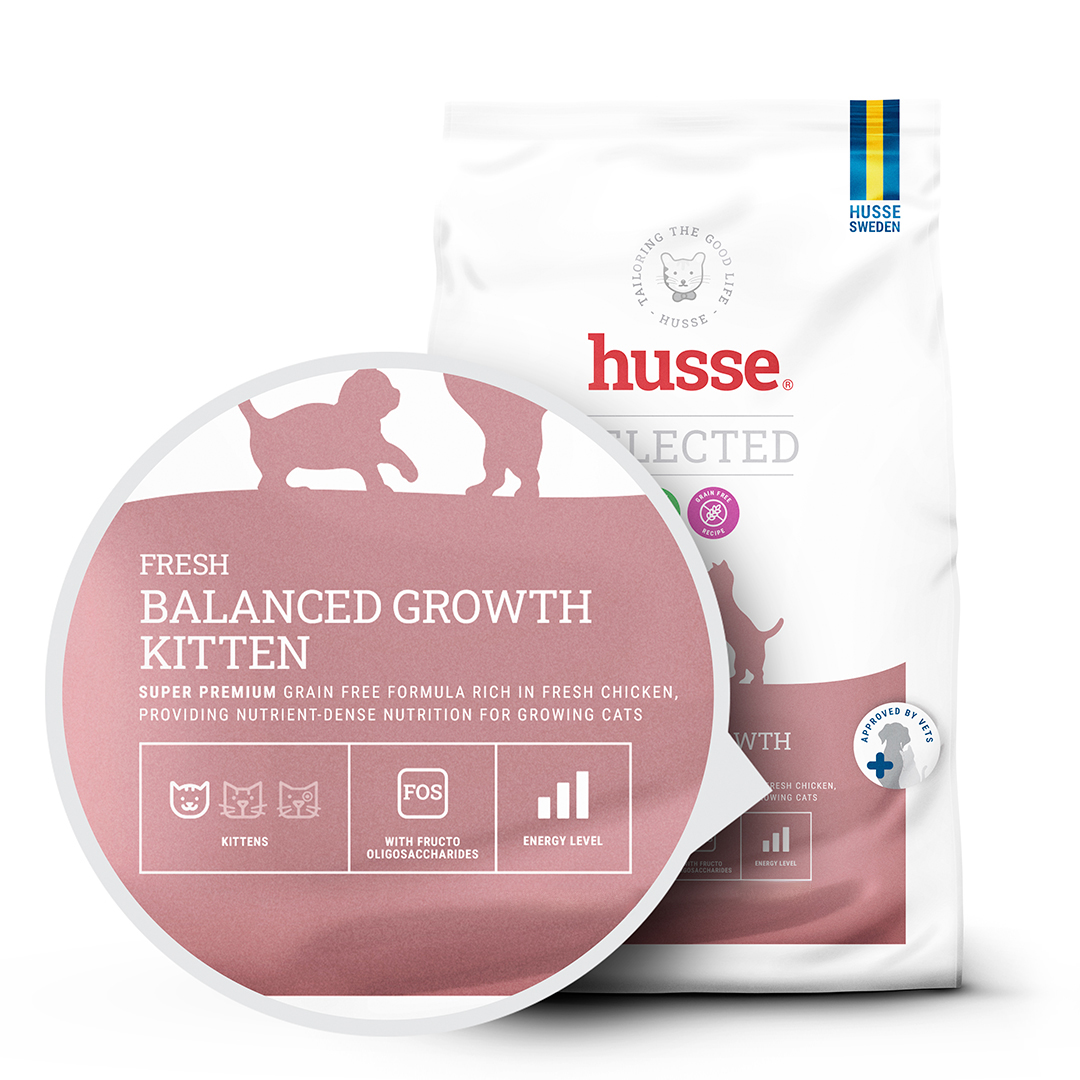 Fresh Balanced Growth Kitten sausas maistas kačiukams, 2 - 7 kg - Image 2