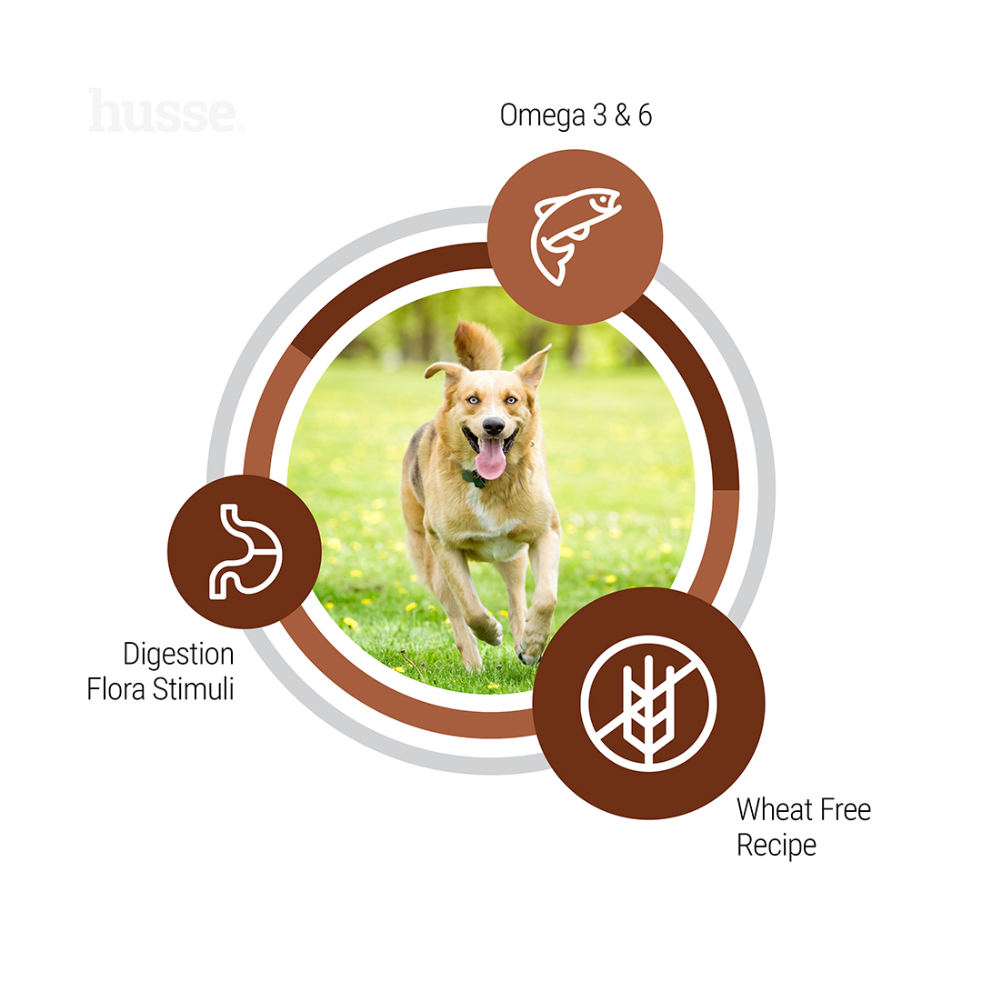 Husse Adult Cold Pressed Skin & Coat šunų pašaras su lašišų aliejumi, 7 kg - Image 3