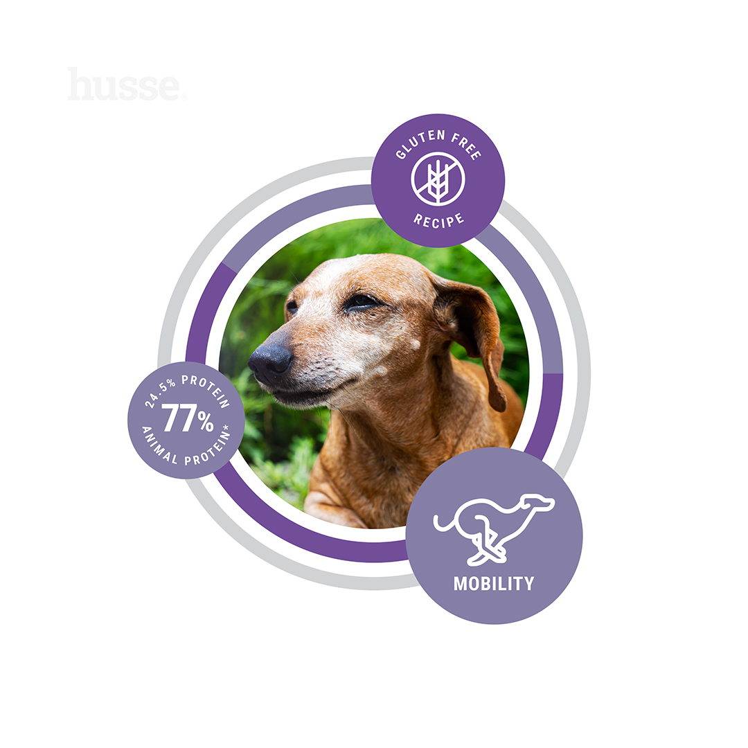 Hypoallergenic Flexcare Senior hipoalerginis pašaras vyresnio amžiaus šunims, 7kg - Image 4
