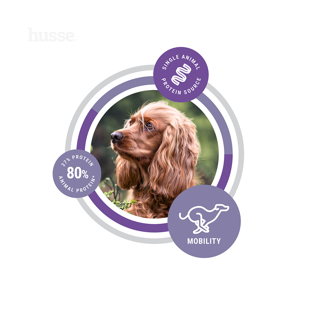 Hypoallergenic Flexcare™ Adult hipoalerginis sausas pašaras šunims, 7-12 kg - Image 4